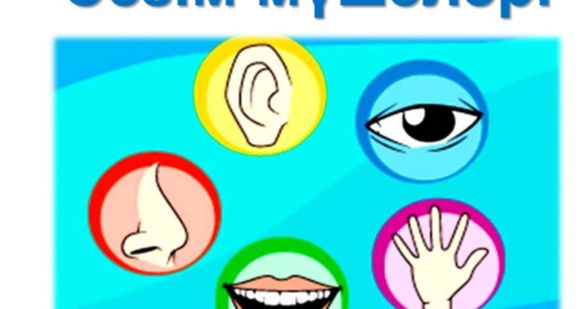 Жатырдың ашуын көрсететін орыс порносы