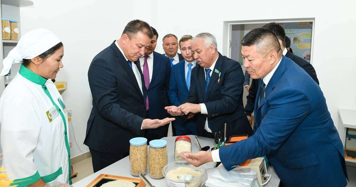 В КЫЗЫЛОРДЕ ОТКРЫЛСЯ РИСОПЕРЕРАБАТЫВАЮЩИЙ ЗАВОД, УПРАВЛЯЕМЫЙ ЦИФРОВЫМИ ТЕХНОЛОГИЯМИ