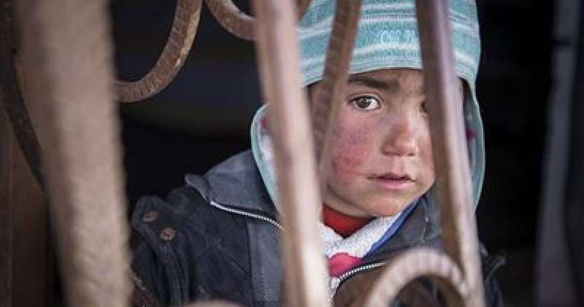 Сириядан Қазақстанға 91бала оралды | КТК