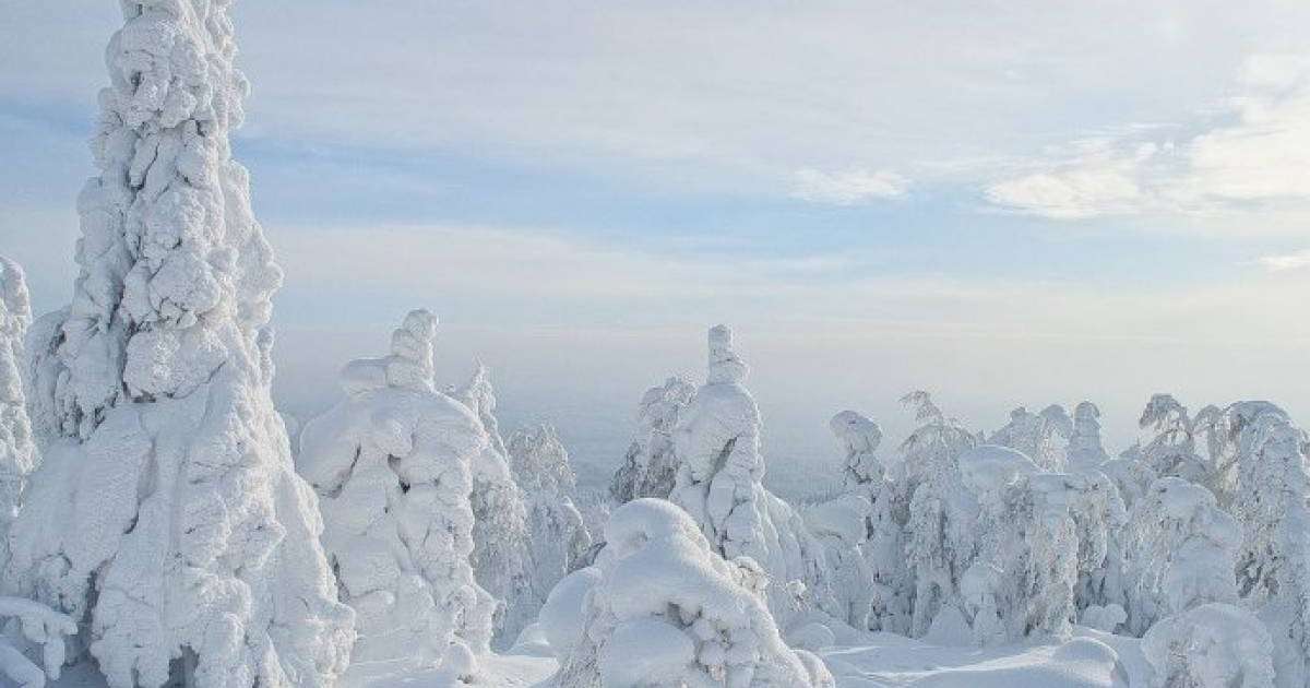 Бүгін еліміз бойынша бұрқасынды, аязды ауа райы сақталады