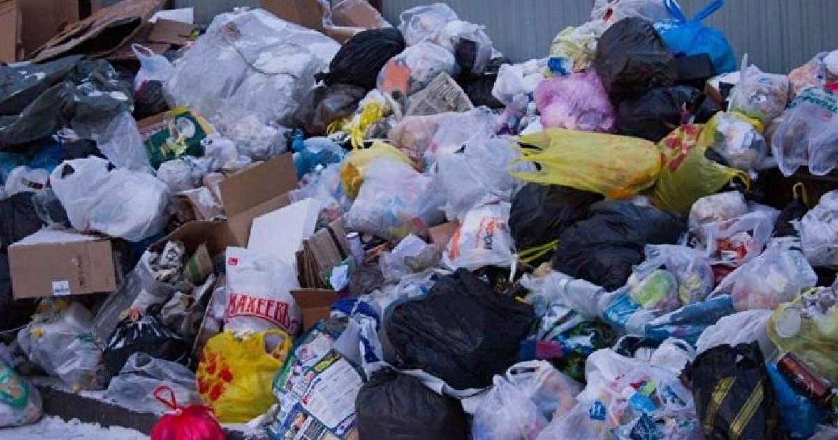 Нұр-Сұлтанның іргесіндегі ауылда иттердің өлексесі тура мешіт жанында жатыр