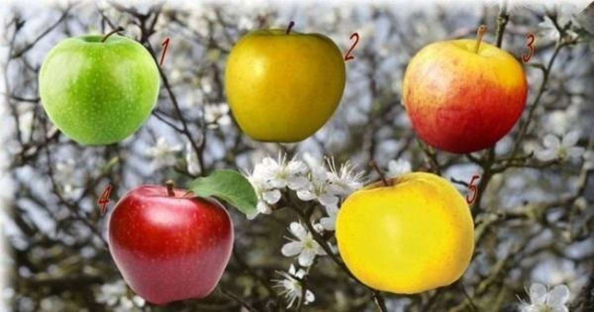 Психологиялық тест: Қандай алманы сатып алар едіңіз? Жауабыңыз сіз туралы сыр айтады