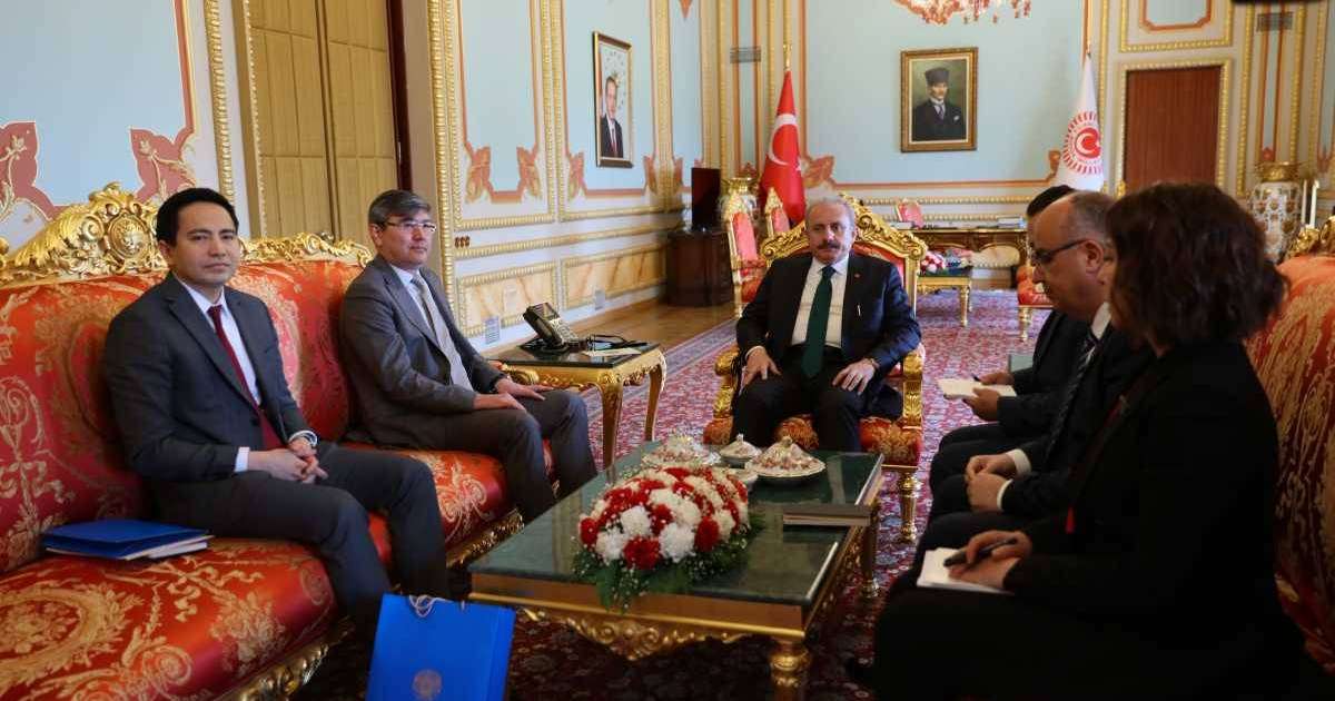 哈萨克斯坦大使会见土耳其大国民议会议长