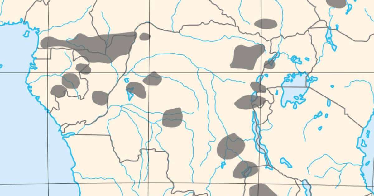 Әлемнің ең кішкентай адамдары қалай тіршілік етіп жүр
