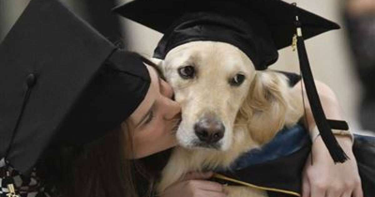 Университеттердің бірінде ит магистр дәрежесін алды