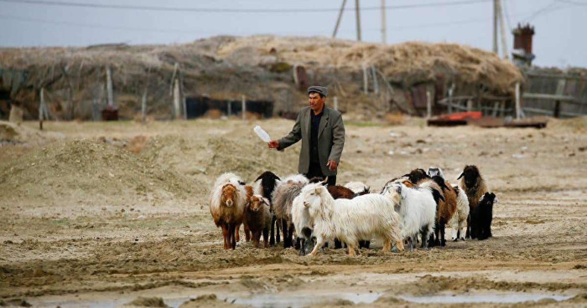 президент ауылдардың әлеуеті жайлы сөз қозғады