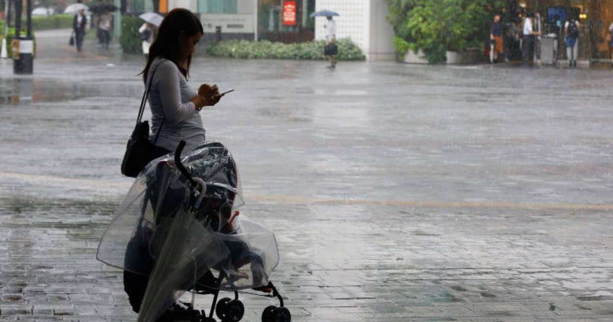 көпбалалы аналардың проблемасын заңға сәйкес шешу қажет