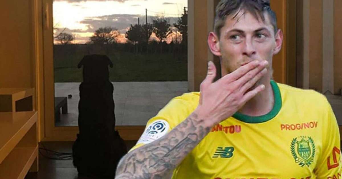 Ұшақтан апат болған футболшыны иті әлі күтіп жүр