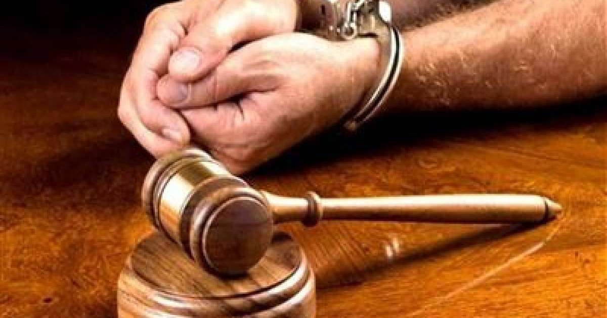 Алғаш рет ит ұрлаған адам сотталды