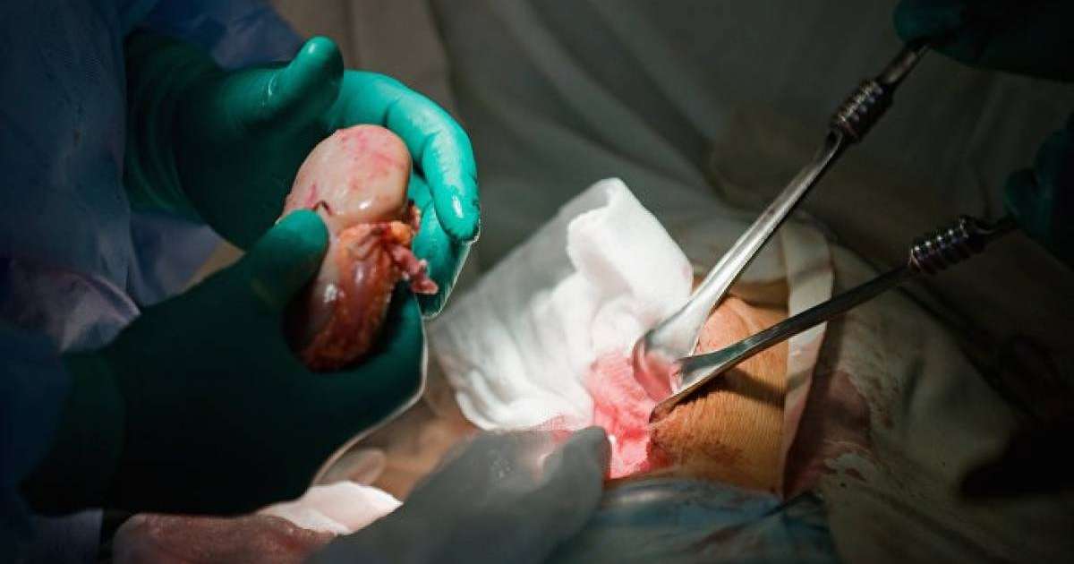 Қазақстанда биобанктер құрылады