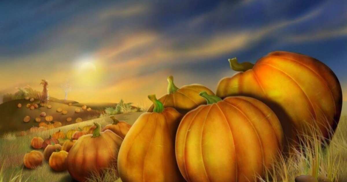 Иммунитетіңіз әлсіресе