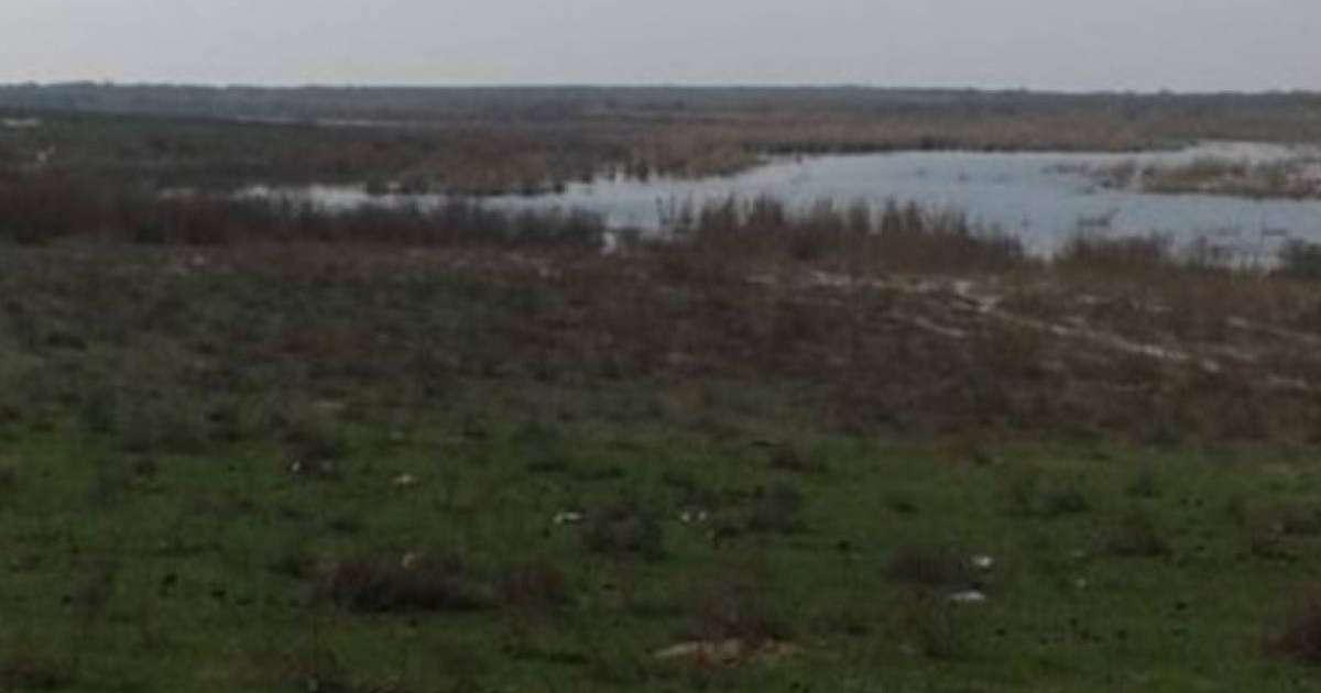 Өзбекстанмен шекарадағы Қоғалы тұрғындары "жер алмасуға" наразы