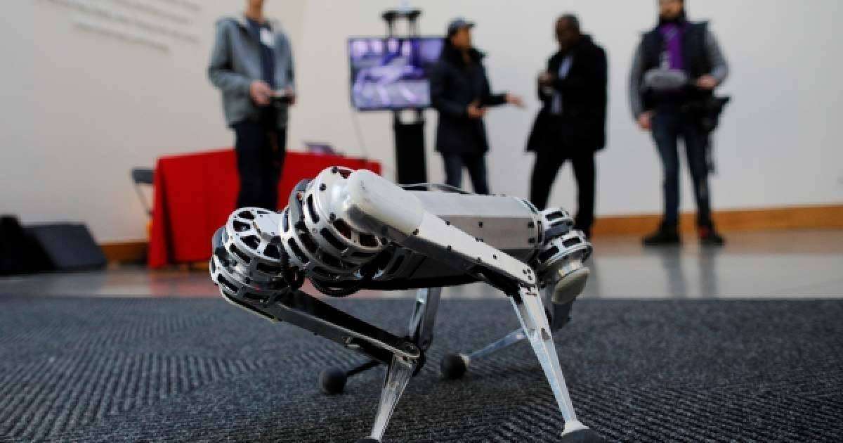 Видео: Гепард-робот билеп, көпшілікті таң қалдырды