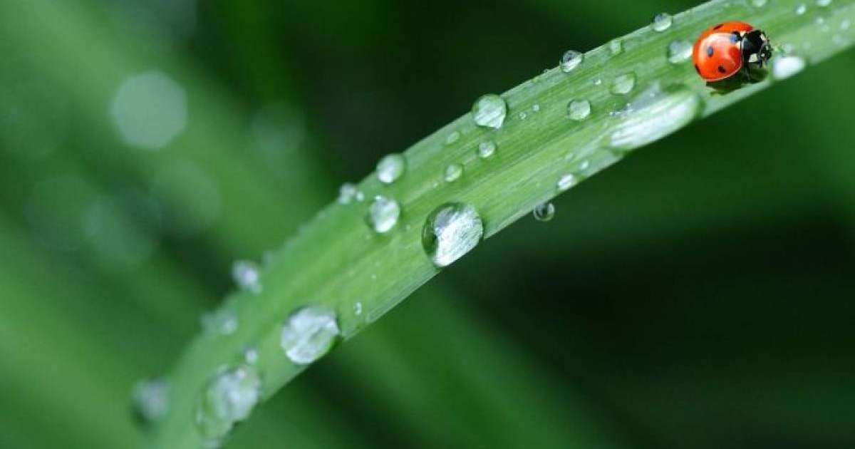 Дүйсенбіде Қазақстанда ауа райы қандай болады