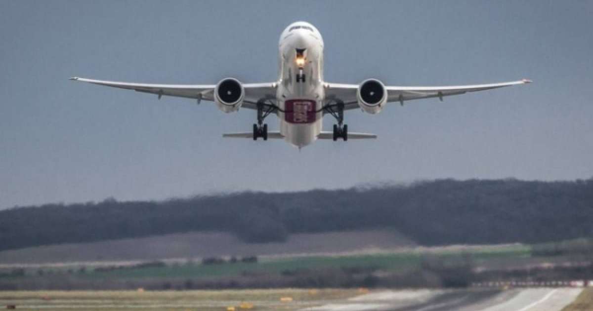 Қозғалтқышқа түскен құс ұшақты тоқтатты