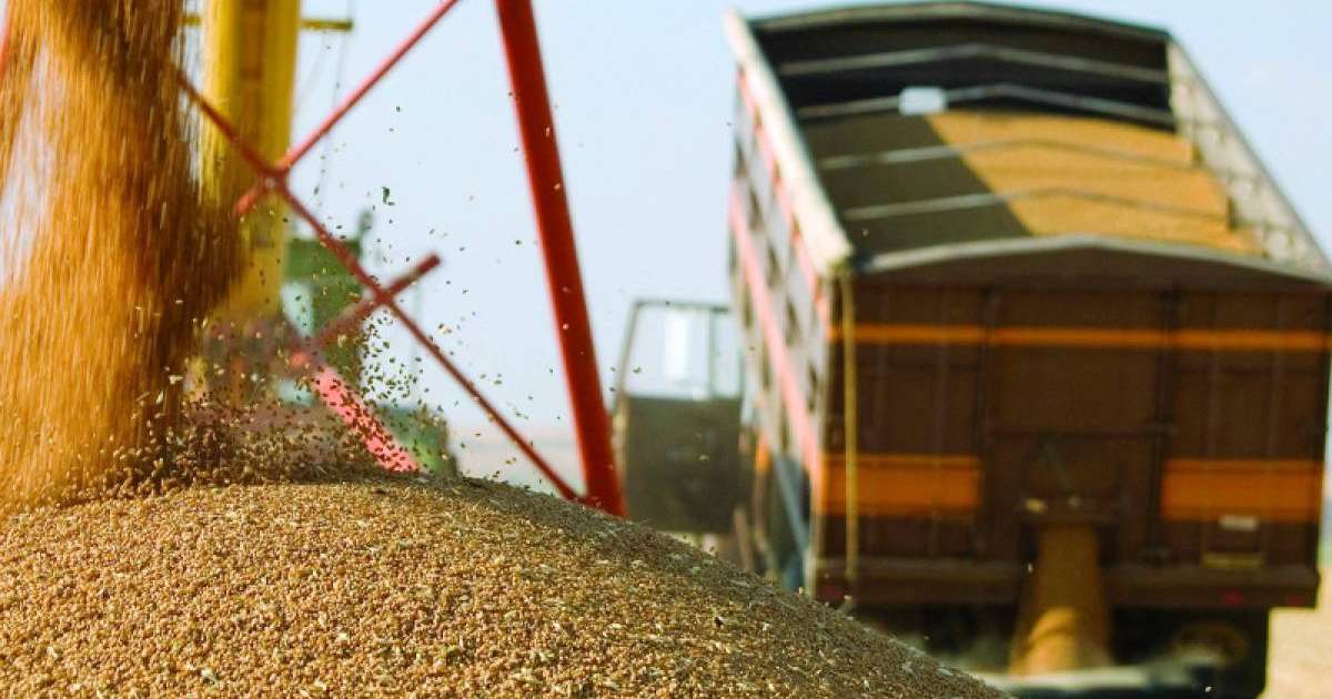 2019年1月哈萨克斯坦小麦出口量同比增长35.1%