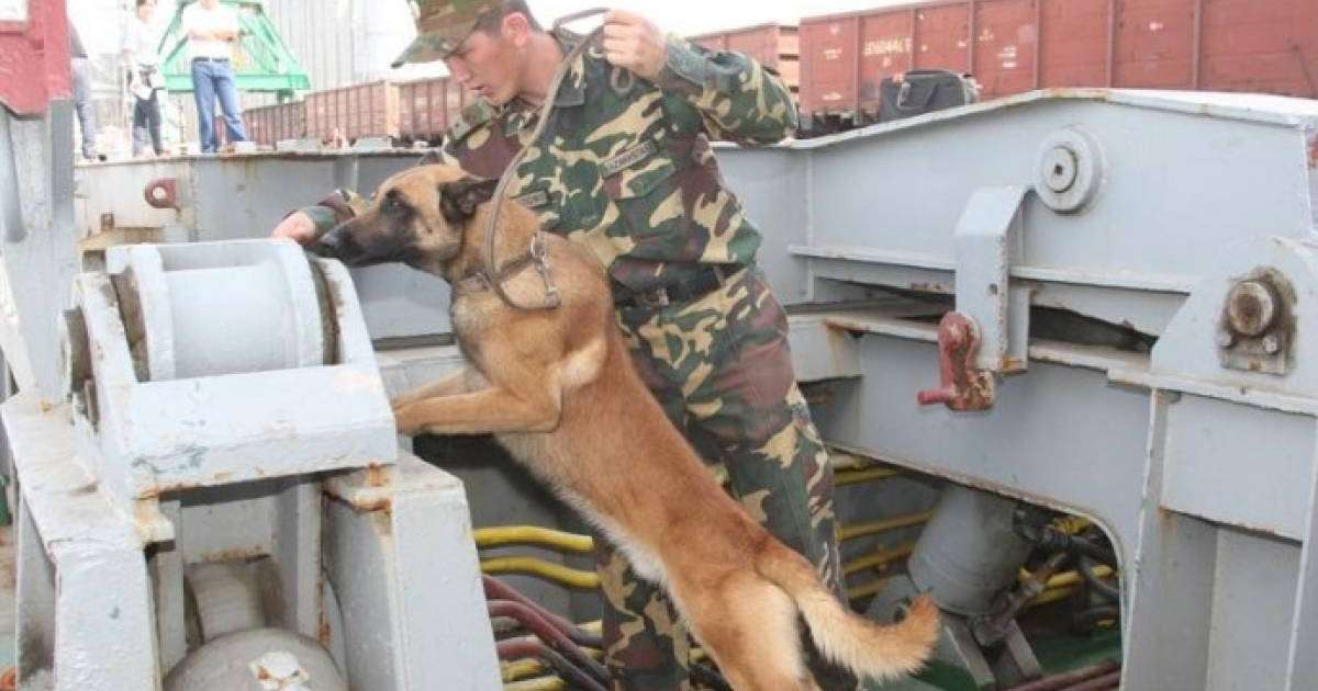 Ақтау теңіз портында ер адам бас киімге есірткі заттарын салып алып өтпекші болды