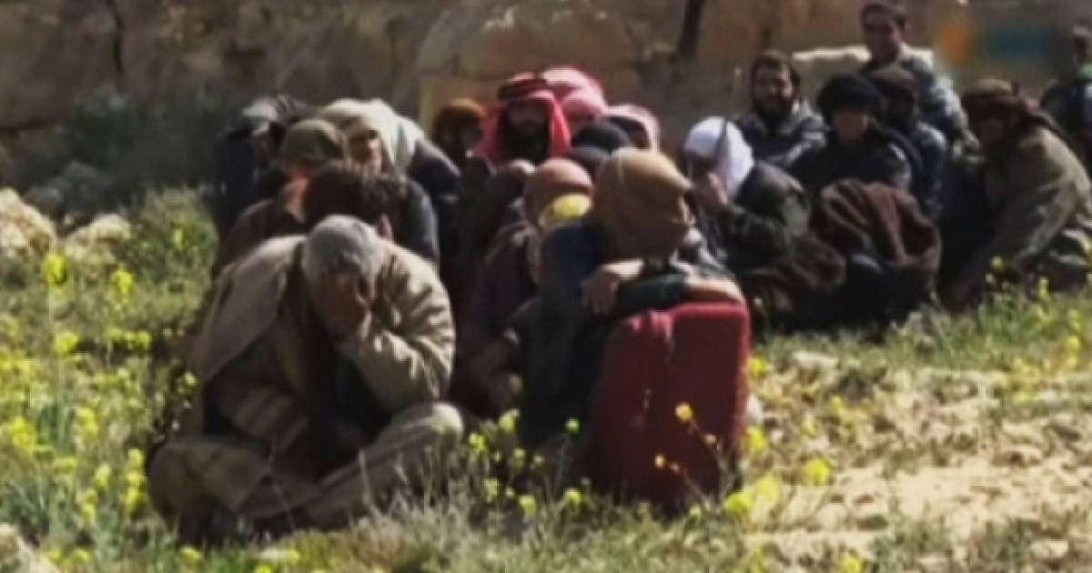 Сирияда 150 содыр өз еркімен берілді