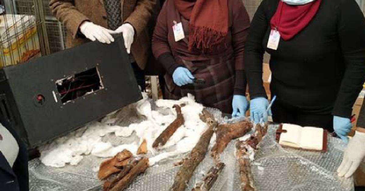 Белгісіз біреулер Каирден ежелгі мумияны поштамен жібермек болған