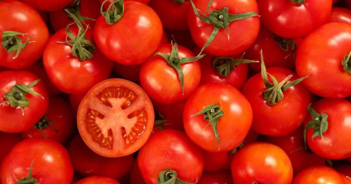 Ұзақ өмір сүруге пайдасын тигізетін көкөніс түрі белгілі болды