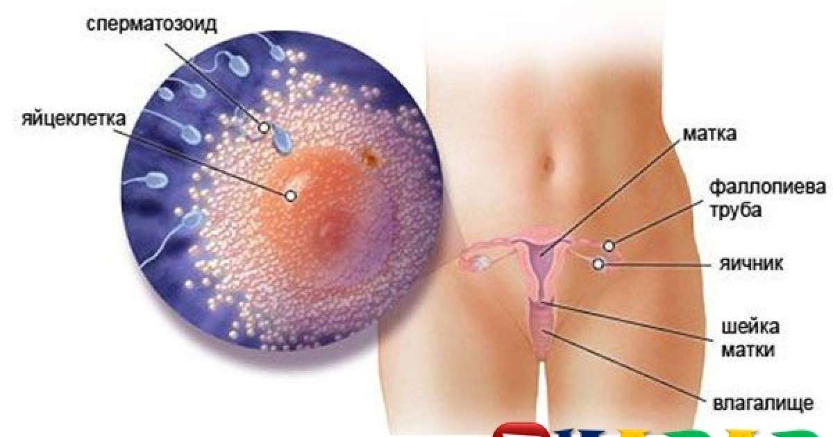 Англияның мамандарды мынадай зерттеу нәтижесін шығарыпты