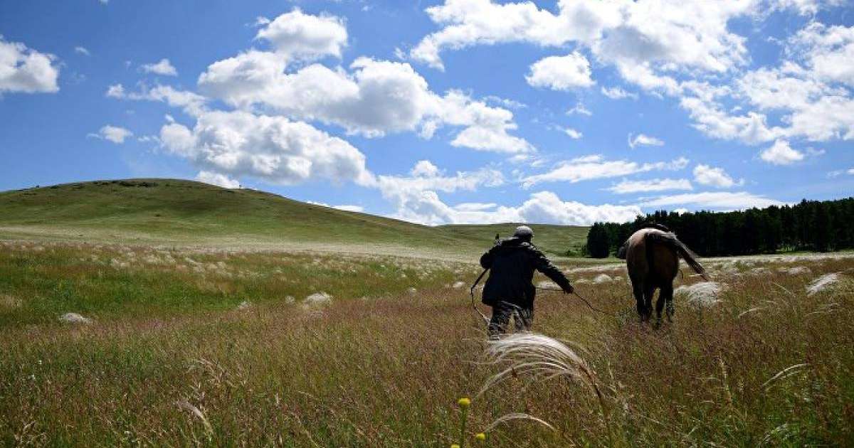 Күршім әкімі жер сатылып жатыр деген ақпаратқа қатысты мәлімдеме жасады