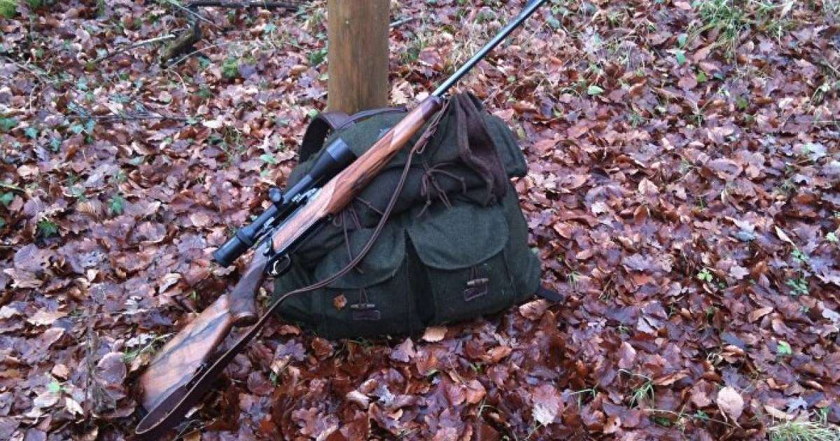 Тоқаев браконьерлердің жазасын күшейтуді тапсырды