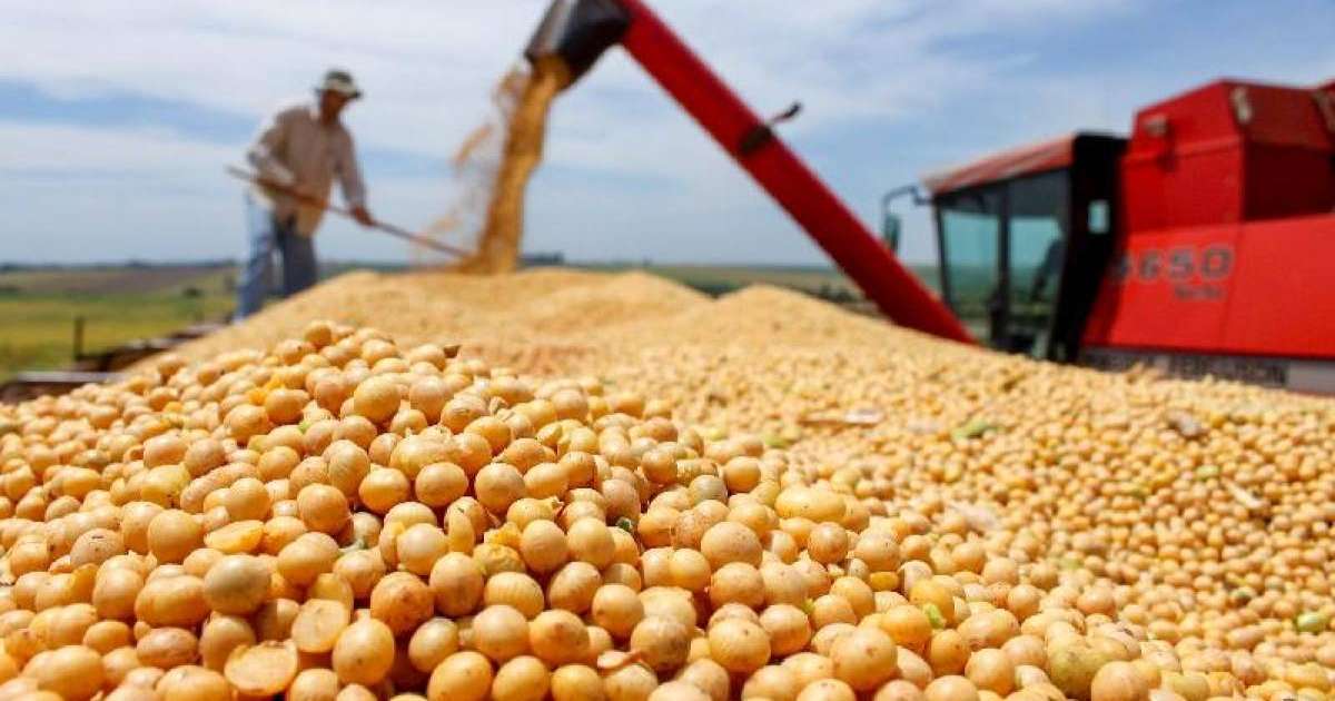 哈萨克斯坦拟向以色列、中国和韩国扩大农产品出口