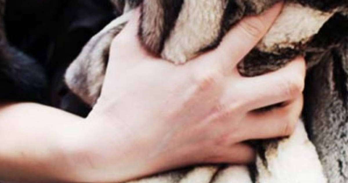 Алматы облысының полицейлері қолды болған ішіктерді тауып, иесіне қайтарды