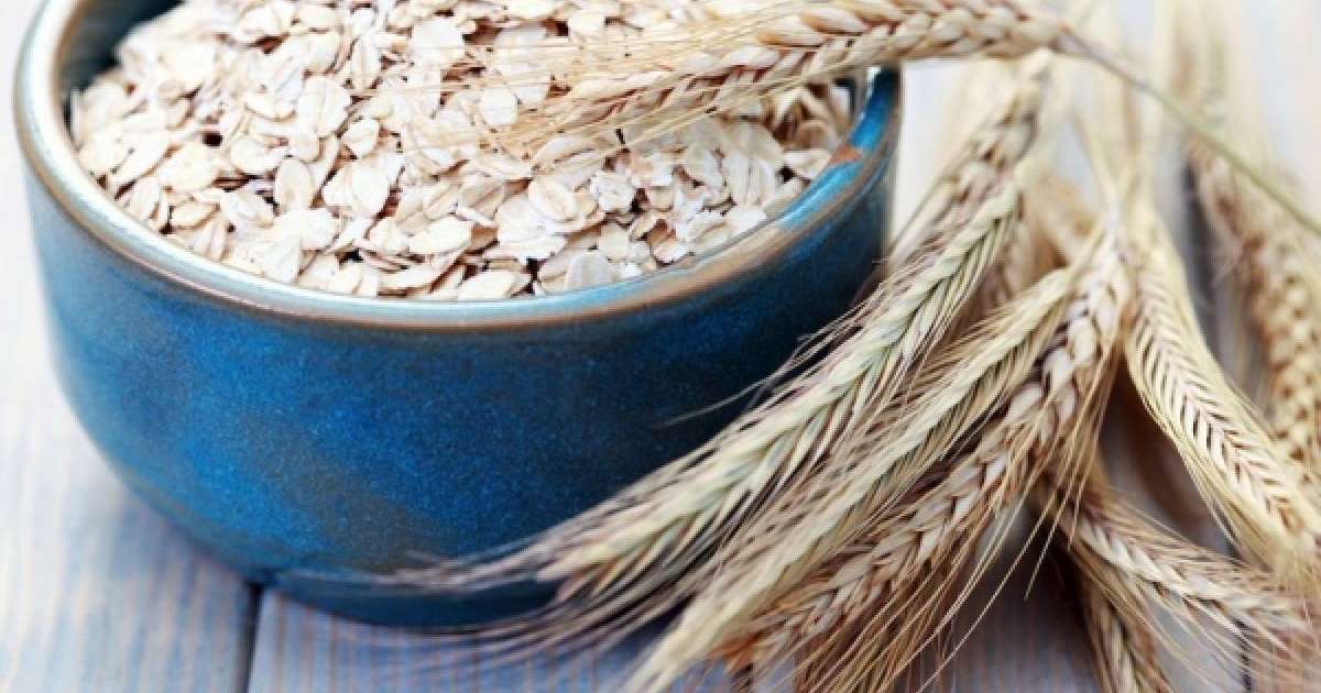 Cұлы және оның пайдасы |