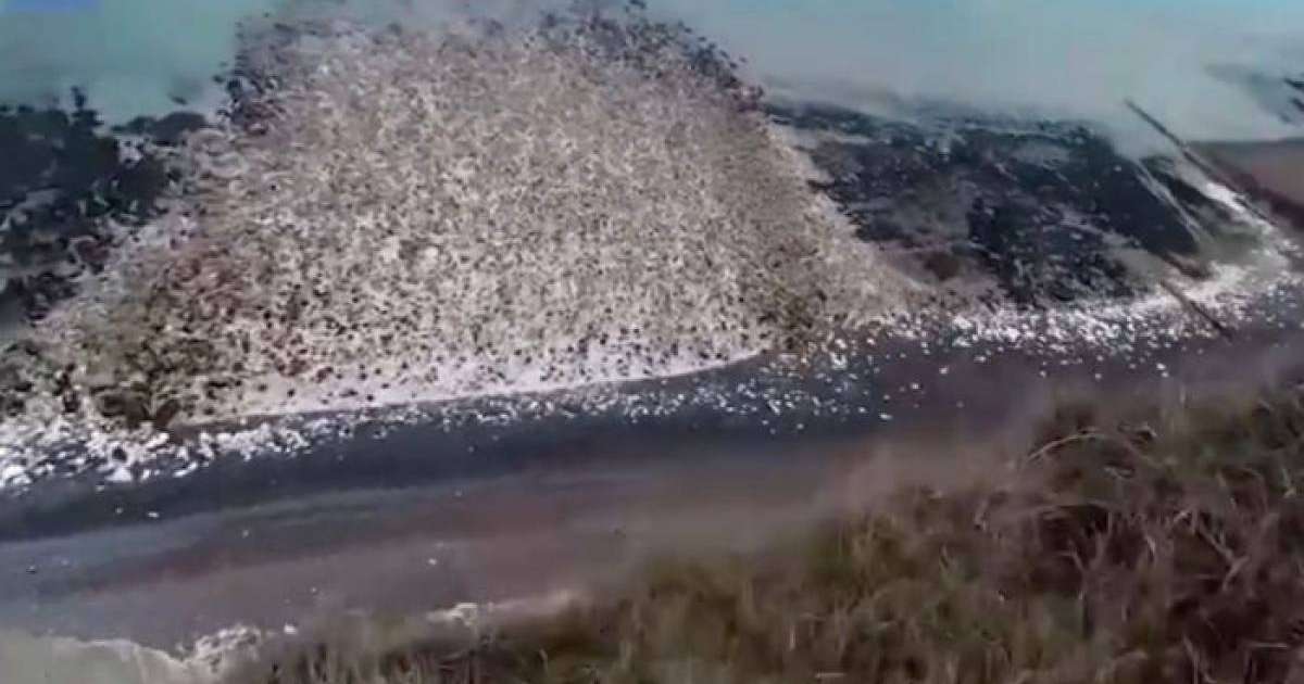 Жігіт парашютпен құздан секірді: бұл оның өміріндегі соңғы сәті болуы мүмкін