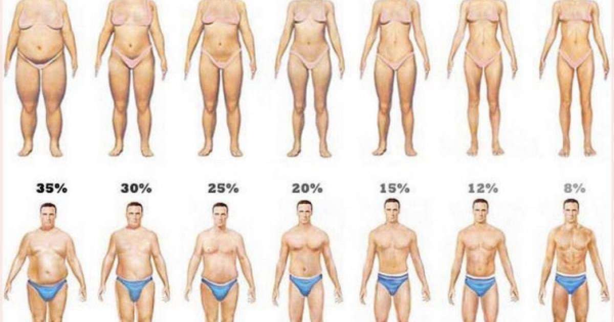 Арықтау барысында ең керек кеңестер