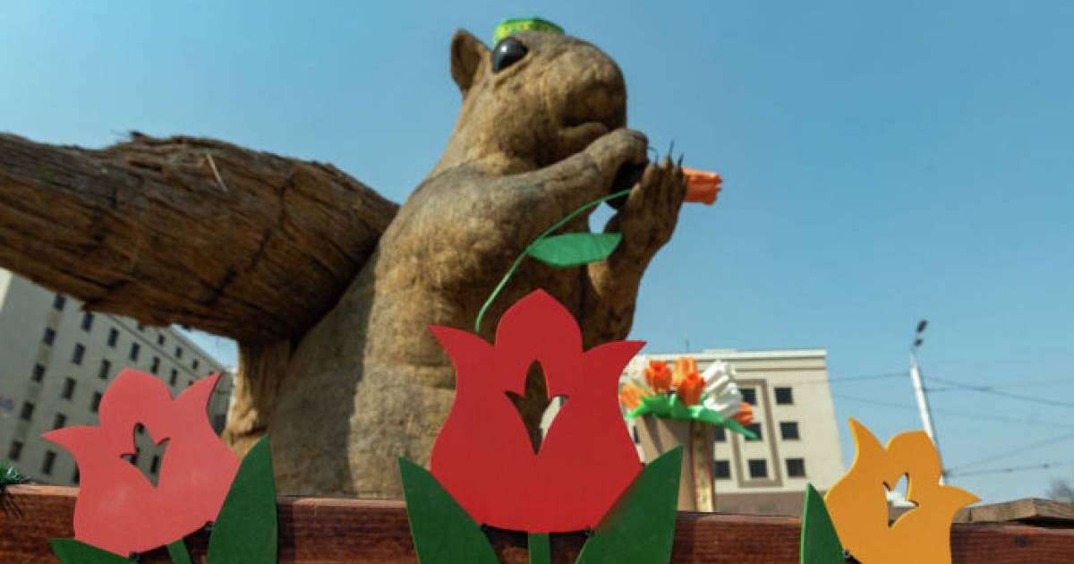 Алматылық Тиін әлеуметтік желіде пост "жазды"