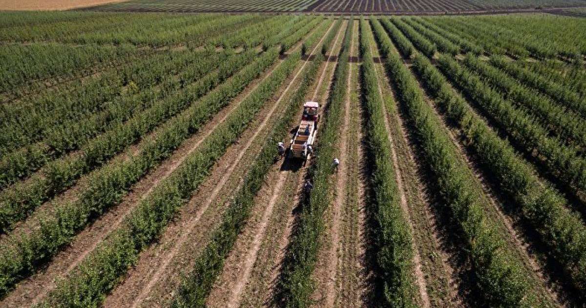 Ұлттық кеңес жер мәселесін талқылайды – үкімет