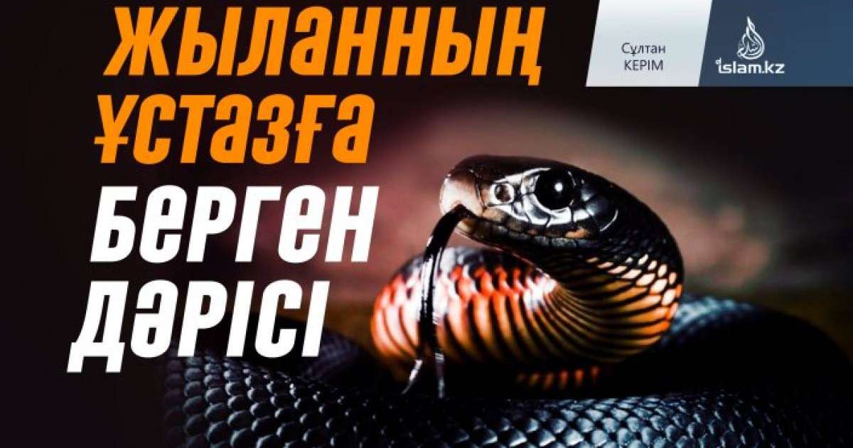 Жыланның ұстазға берген дәрісі / Сұлтан КЕРІМ