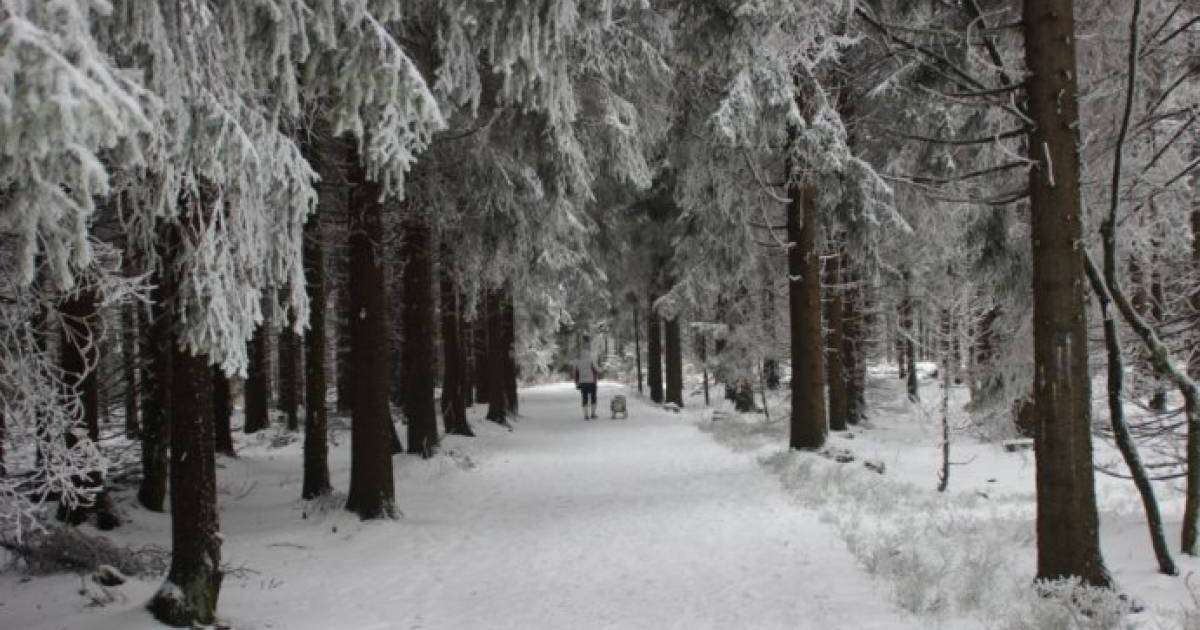Қазақстанның оңтүстік және шығыс аймақтарында қатты қар жауады