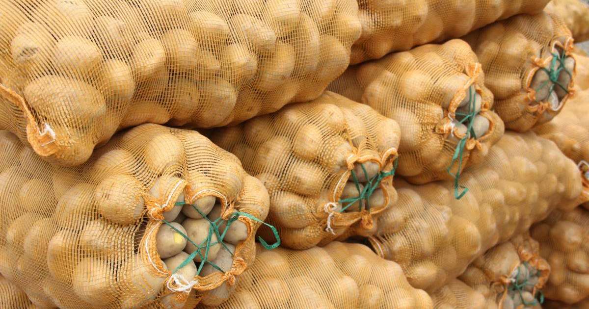 Қазақстан мен Қырғызстан қырғыз өнімдеріне шектеу қою мәселесін талқылайды