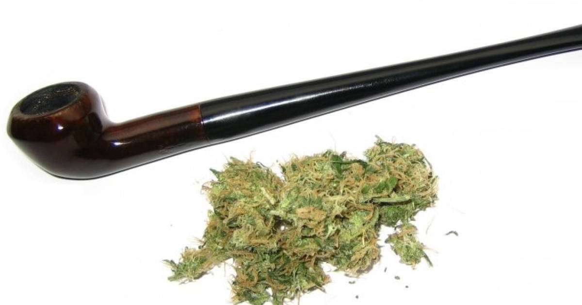 Жамбыл облысының полиция қызметкерлері ірі көлемде есірткі сақтаған облыс тұрғынын ұстады 