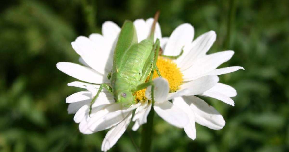 Ауа райы болжамы: 28, 29, 30 мамыр