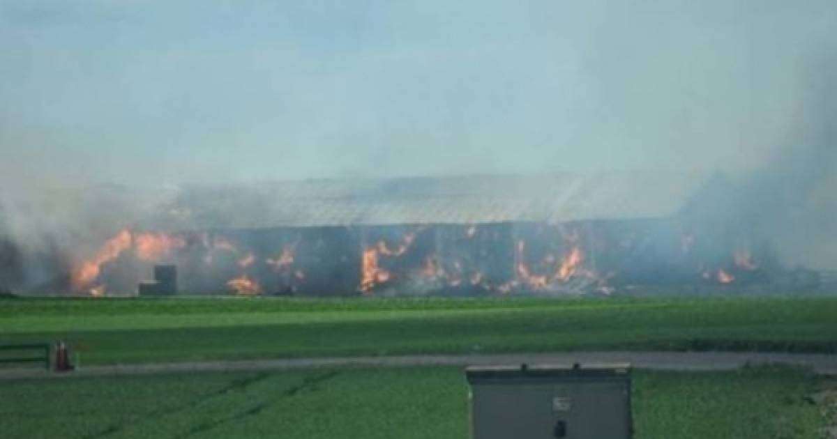 Құс фабрикасында 100 мың тауық өртеніп кеткен