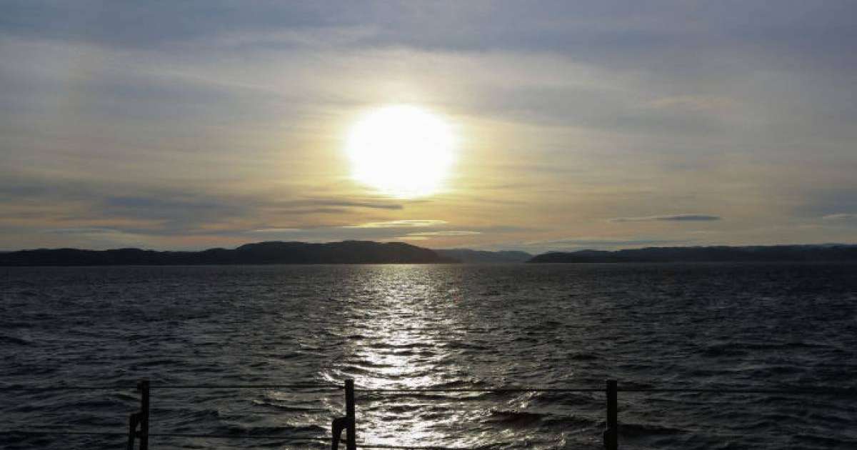 Суға шомылған ер адамды бактериялар жеп қойды