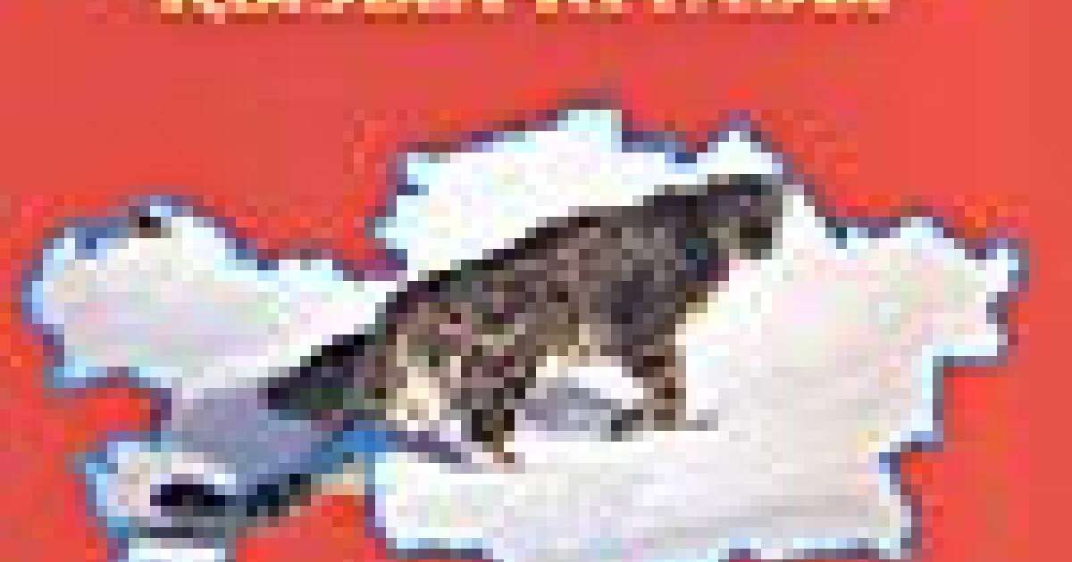 қызыл кітапқа енген жануарлар туралы ақпарат