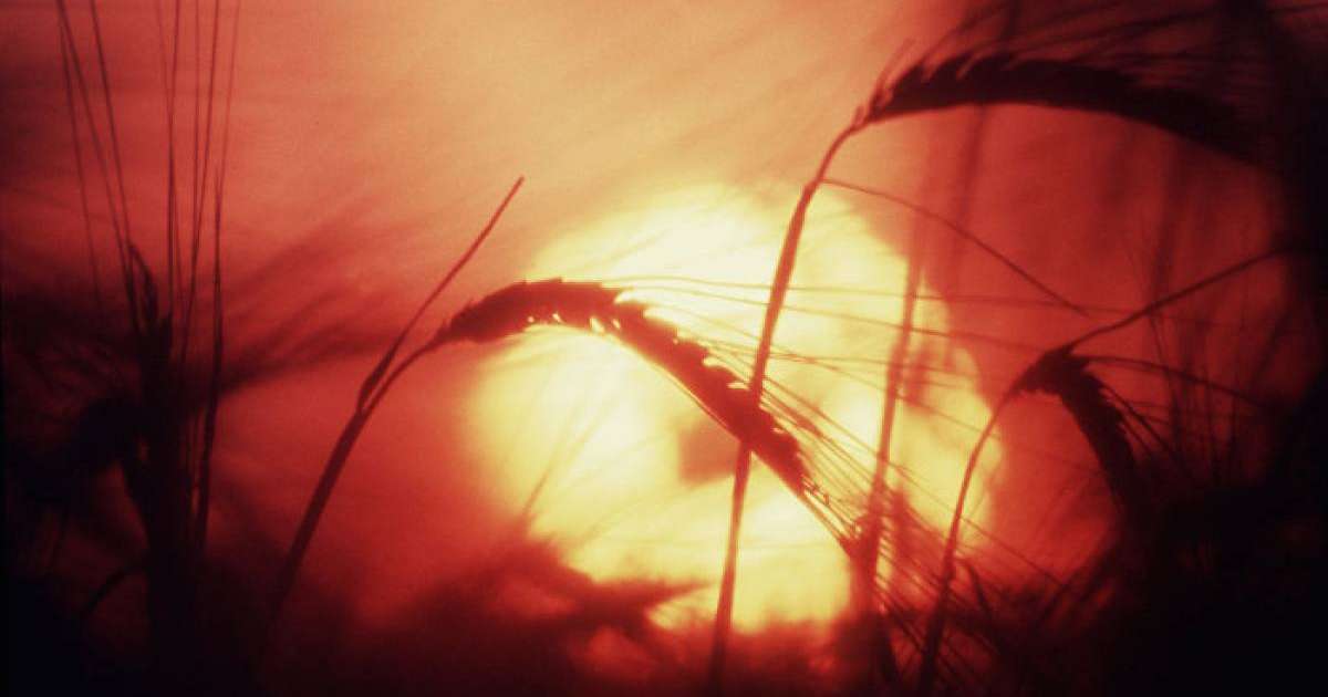 Синоптиктер тарихта болмаған ыстық келуі мүмкін екенін ескертті