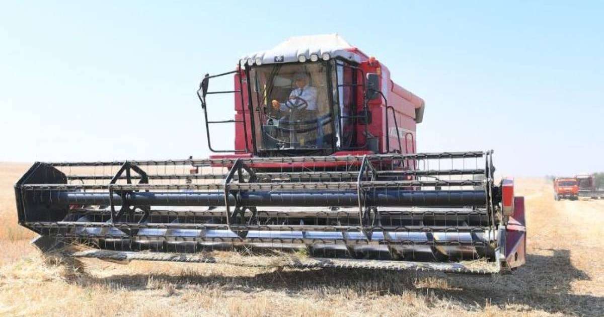 Түркістан облысы әкімі Өмірзақ Шөкеев астық жинауға қатысты