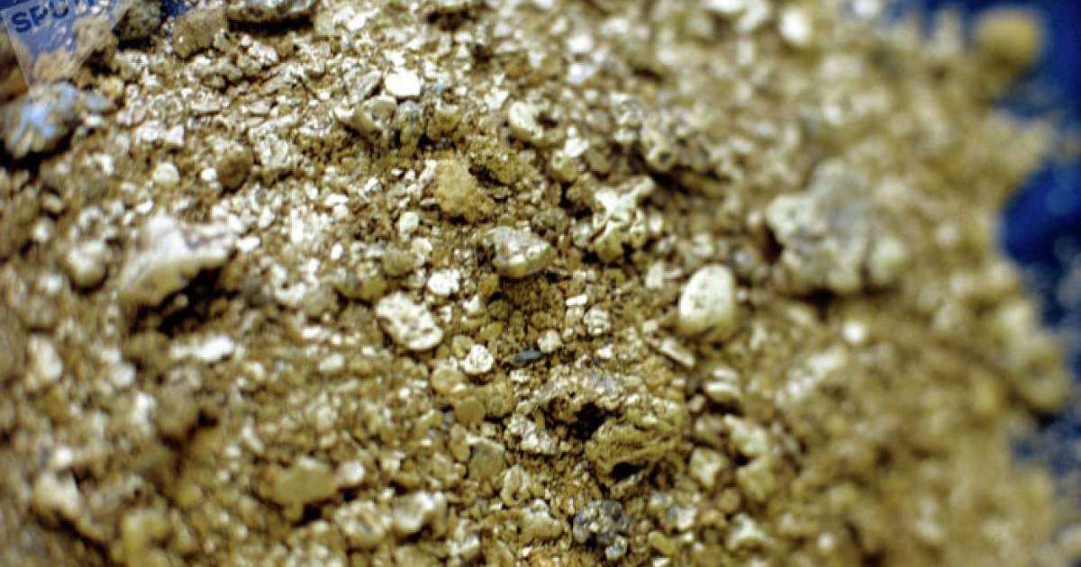 Австралияда ер адам 1,4 килограмм саф алтын тауып алды