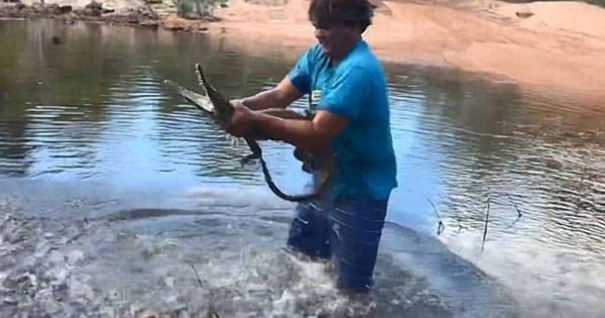 Ер адам қолтырауынды жалаңаш қолымен ұстап алған