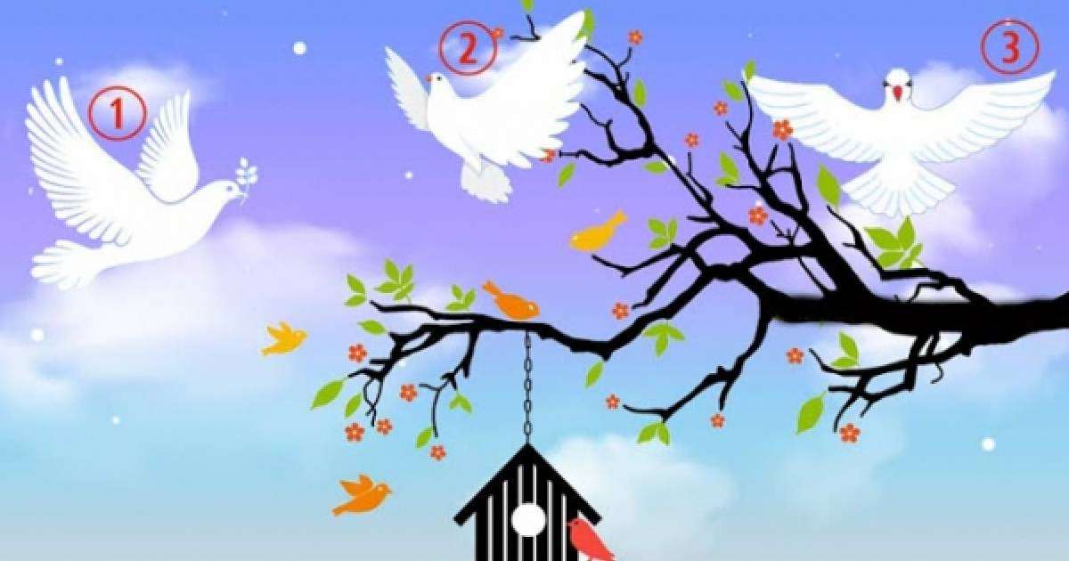 Психологиялық тест: Көгершіннің бірін таңдап, мінезіңіз туралы сыр біліңіз