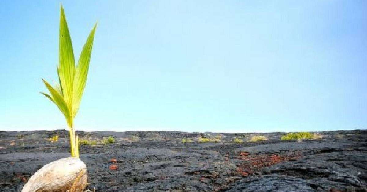 Кемеңгерлердің ақыл қалтасы