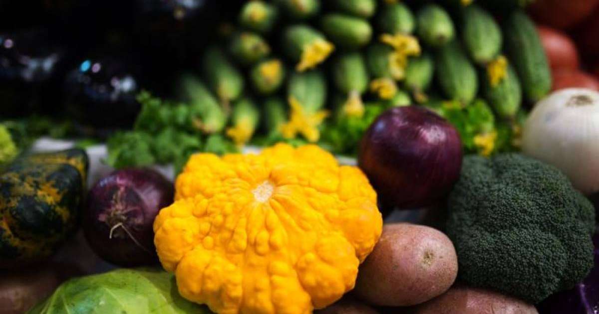 Брокколидің ракқа қарсы пайдасы анықталды