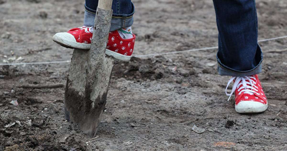 Ит тірідей көмілген нәрестені құтқарып қалды